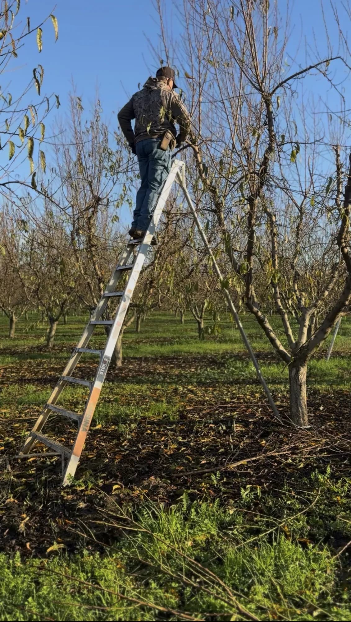 Urbina Farm Management crew at work, photo 3